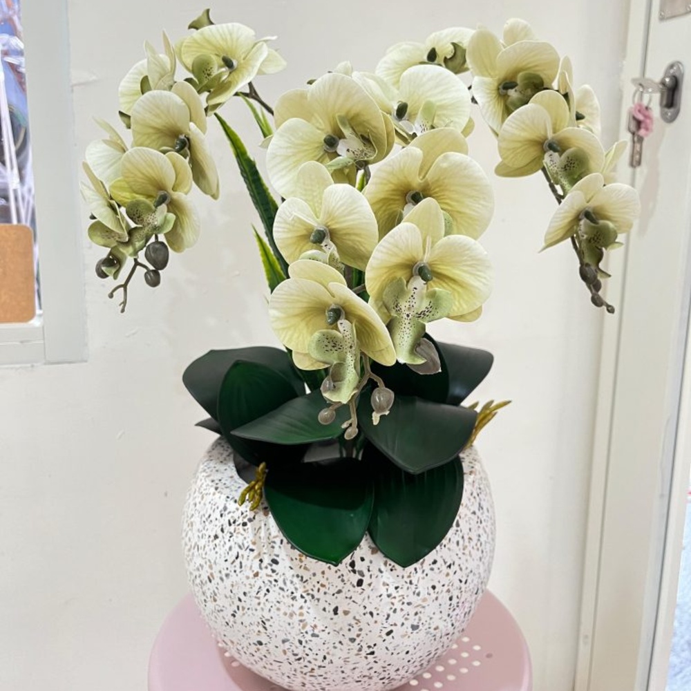 3 - Large Orchid