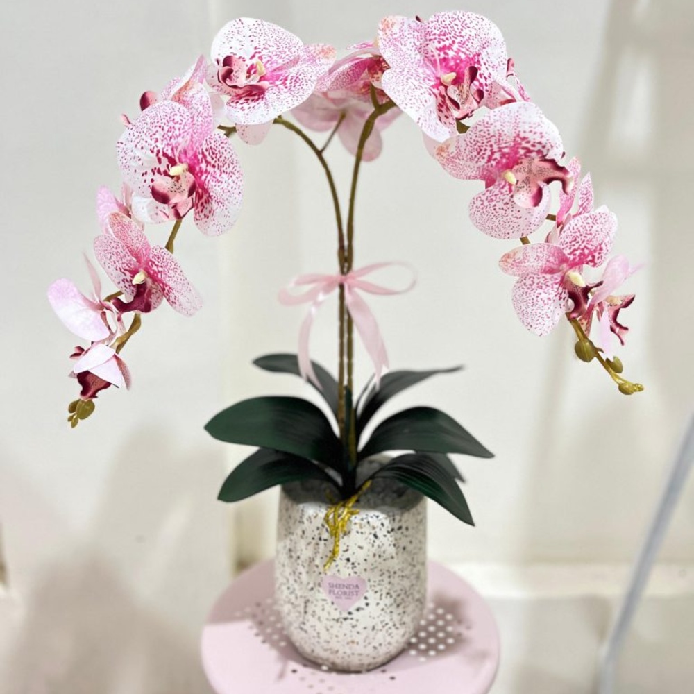 2 - Large Orchid